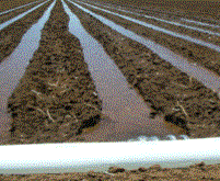 Irrigation Small Farms