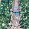 Agricultural Water Conservation Grants