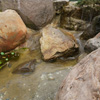 Water Research Grant Program