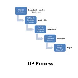 IUP Process