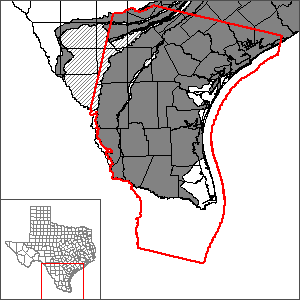 This map shows the extent and location of the Groundwater Management Area 16 Groundwater Flow Model.