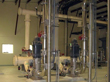 Feed Pumps