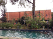 Pool at the back of the house filled using harvested rainwater.