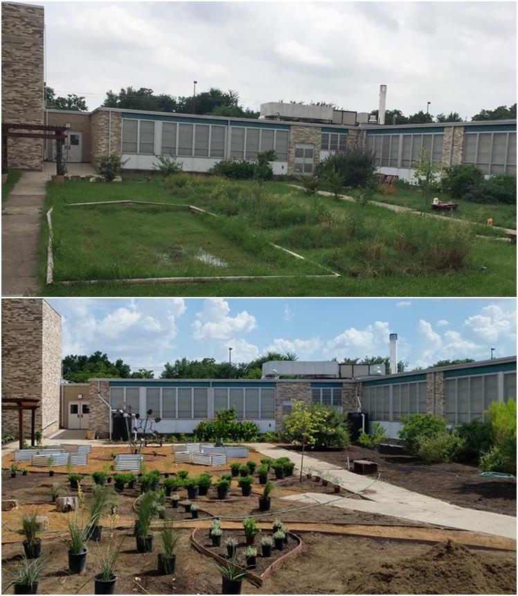 Before and after photos of the school garden.