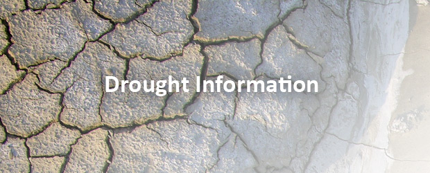 Drought Information