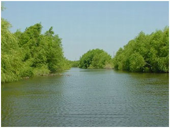 Lake Clyde (Photo provided by the owner)