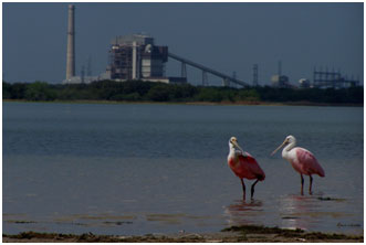 Coleto Creek Reservoir with power plant beside it (Photo provided by Freese and Nichols, Inc.)