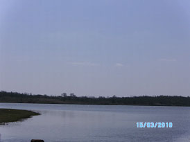 Lake Halbert (Photo provided by the owner)