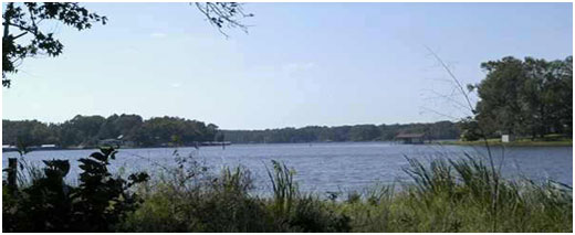 Lake Holbrook (Photo courtesy of Olga Cooper)