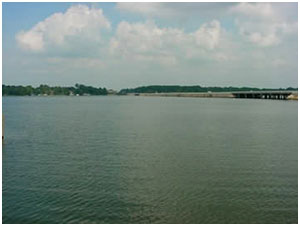 Lake Palestine (Photo courtesy of http://www.lake-palestine.com/)