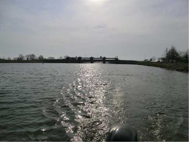 Wallisville Lake Project from its Dam (Photo source: U. S. Army Corps of Engineers's website)