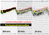 scans of three different frequencies