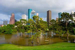 flooded Houston park