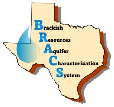 BRACS logo