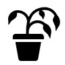 dead plant