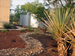 Completed system and native garden at the residence.