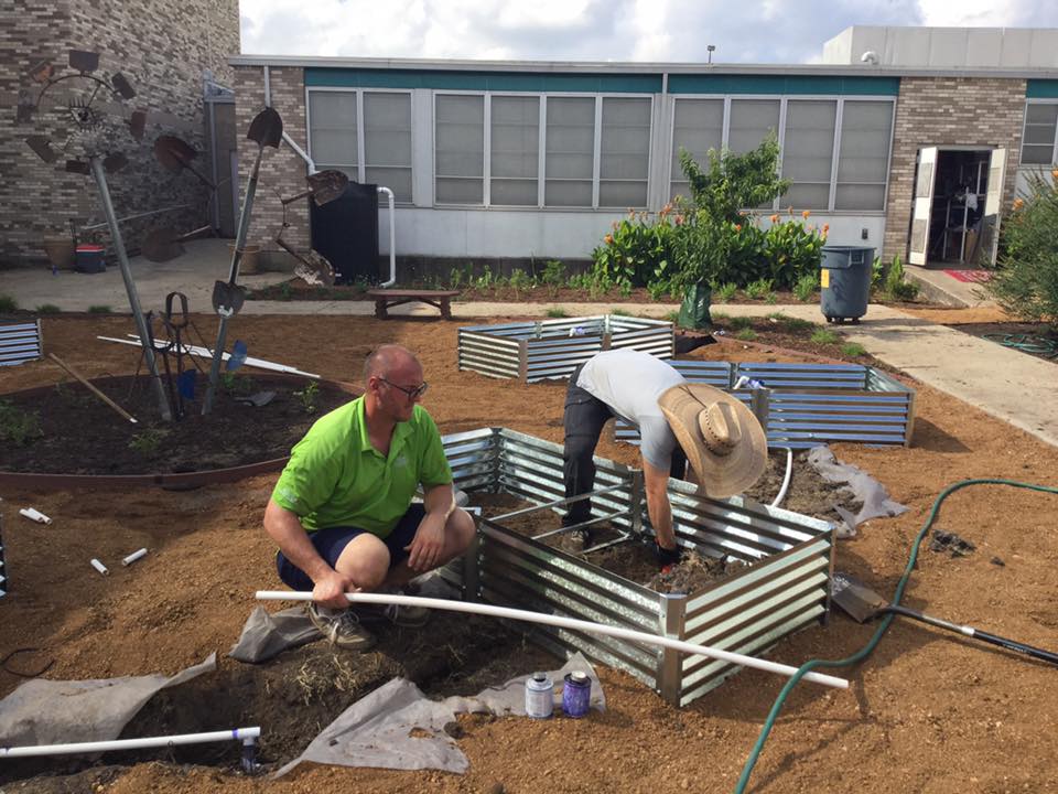 Workers install subsurface irrigation in a garden planter.