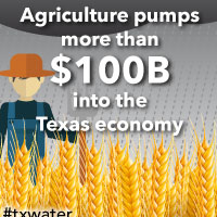 Agriculture pumps more than $100 billion into the Texas economy. In 2011, the drought hit hard. Agricultural losses were more than $7.6 billion. <a href='/newsmedia/infographics/doc/Economy_and_agriculture.pdf'>Download Infographic</a>
