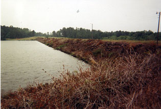 Houston County Lake and Dam (Photo provided by Freese and Nichols, Inc.)